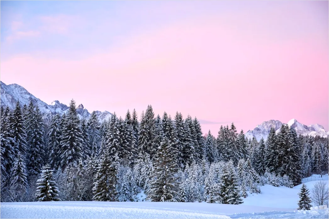 Detail Sonnenaufgang Winter Schnee Rosa Number 8