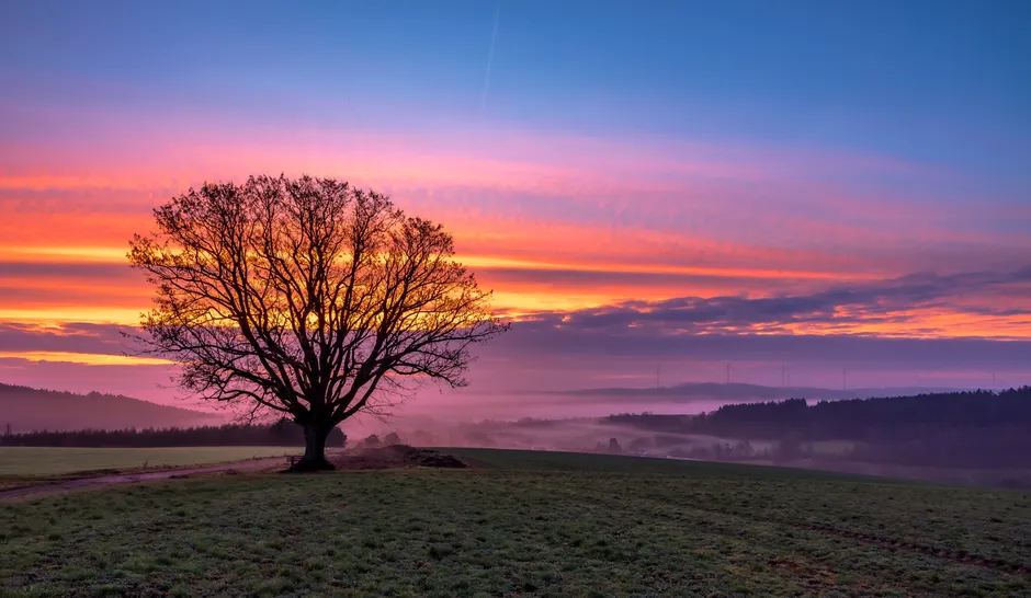 Detail Sonnenuntergang Feld Silhouette Baum Number 19