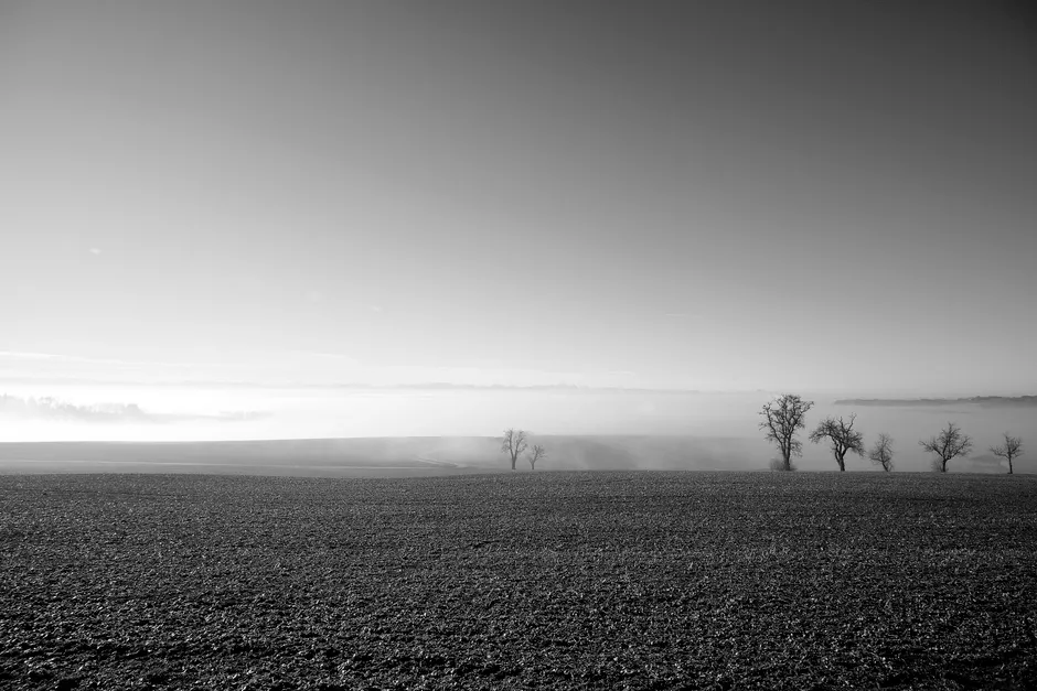 Detail Sonnenuntergang Feld Silhouette Baum Number 7