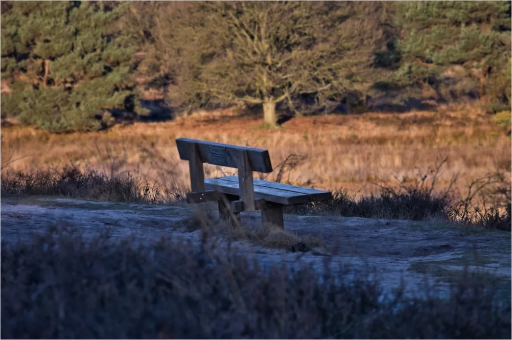 Detail Sonnenuntergang Golden Hour Landschaft Number 12