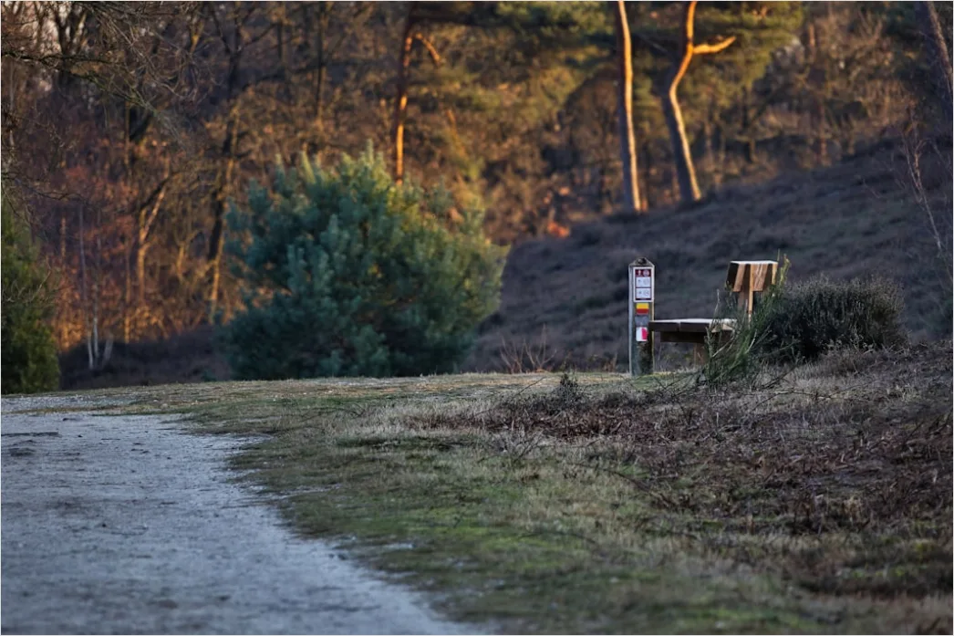 Detail Sonnenuntergang Golden Hour Landschaft Number 5