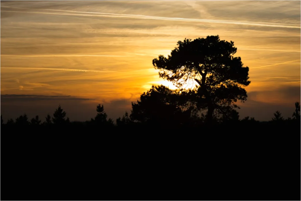 Detail Sonnenuntergang Golden Hour Landschaft Number 7