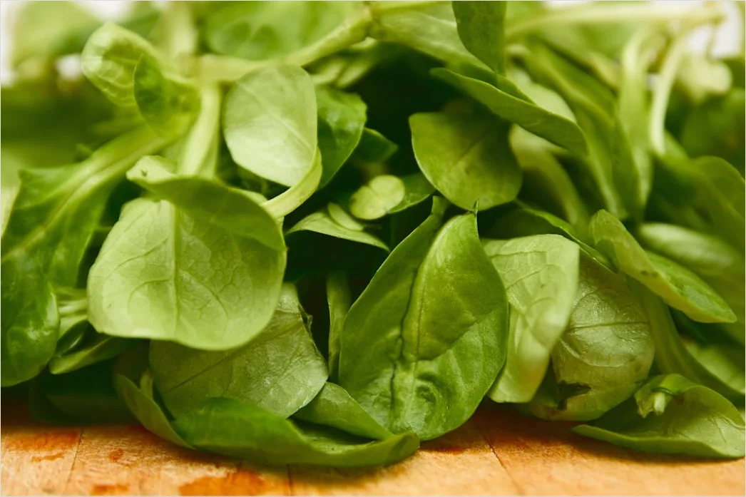 Detail Spinat Erdbeere Salat Nahaufnahme Frisch Number 15