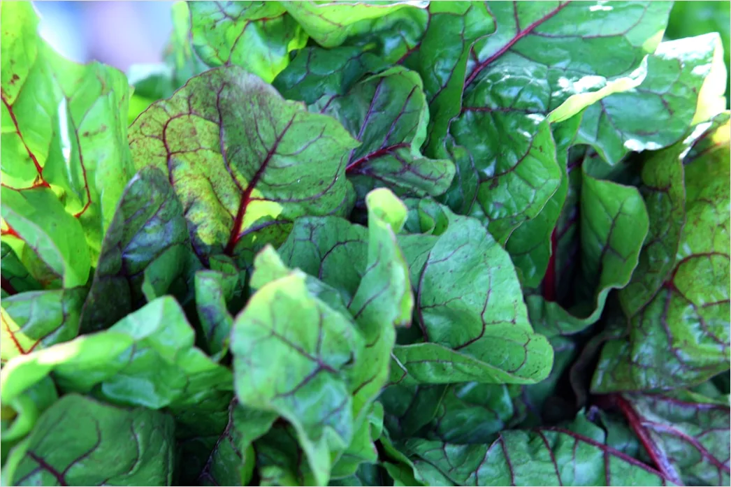 Detail Spinat Erdbeere Salat Nahaufnahme Frisch Number 20
