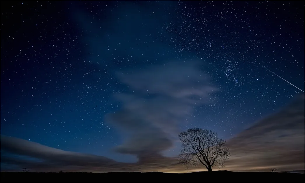 Detail Sternenhimmel Feld Baum Silhouette Nacht Number 2