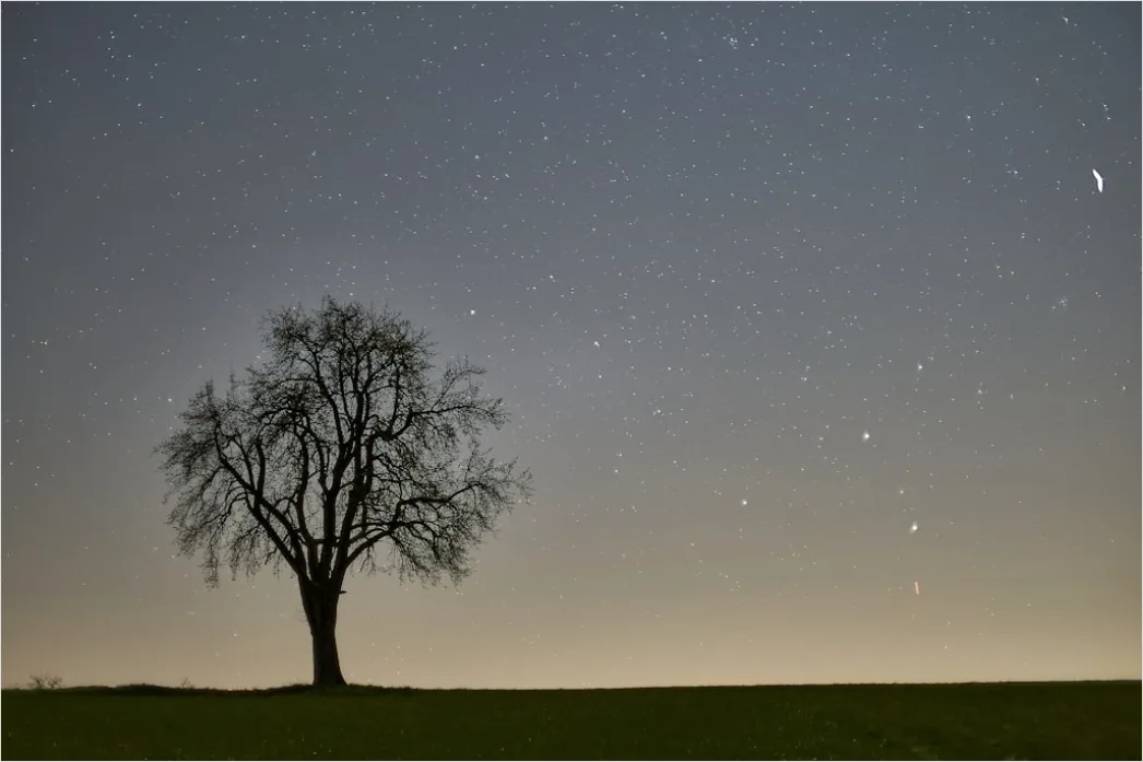 Detail Sternenhimmel Feld Baum Silhouette Nacht Number 3