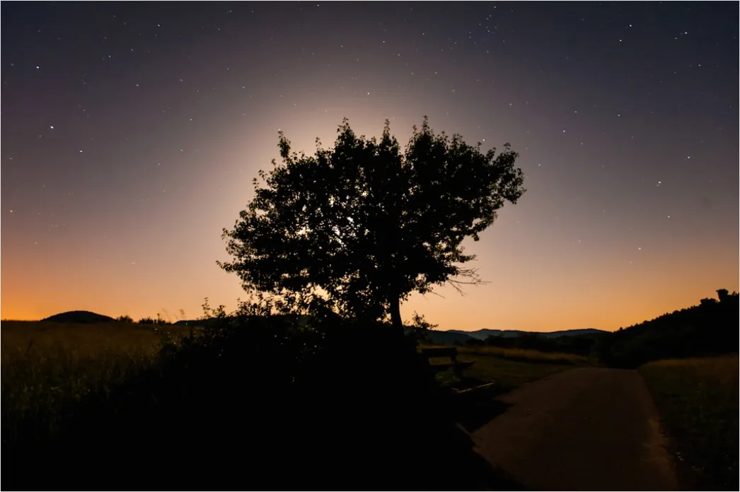 Detail Sternenhimmel Feld Baum Silhouette Nacht Number 8
