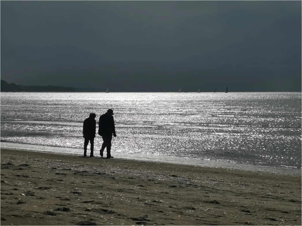Detail Strand Abend Spaziergang Silhouette Number 13
