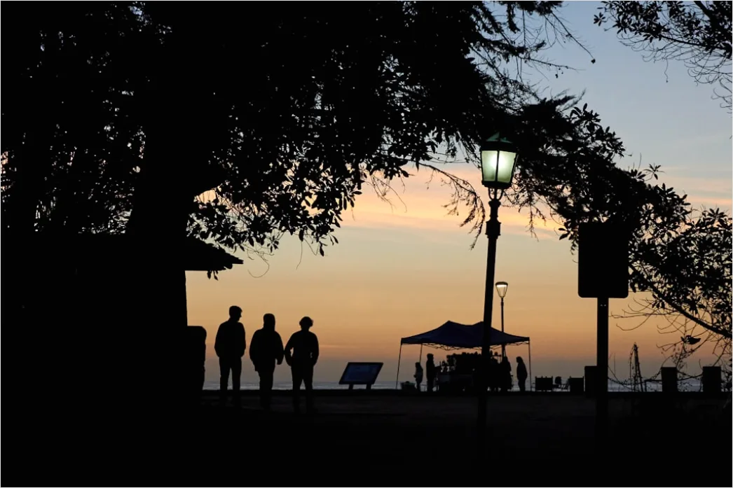 Detail Strand Abend Spaziergang Silhouette Number 9