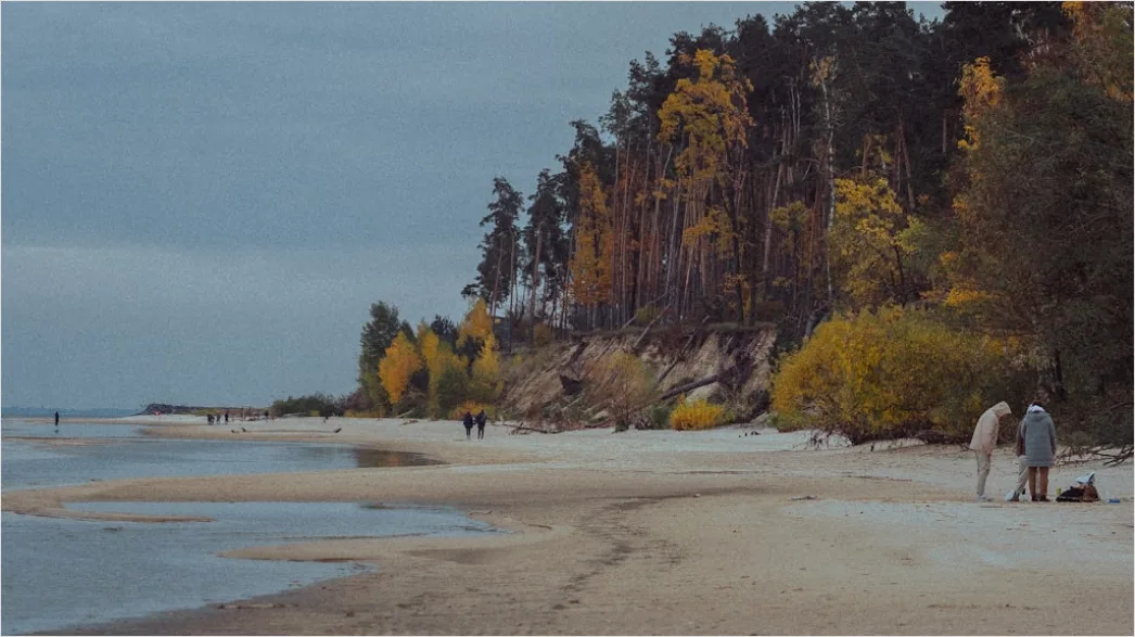 Detail Strand Herbst Leer Stimmungsvoll Number 4