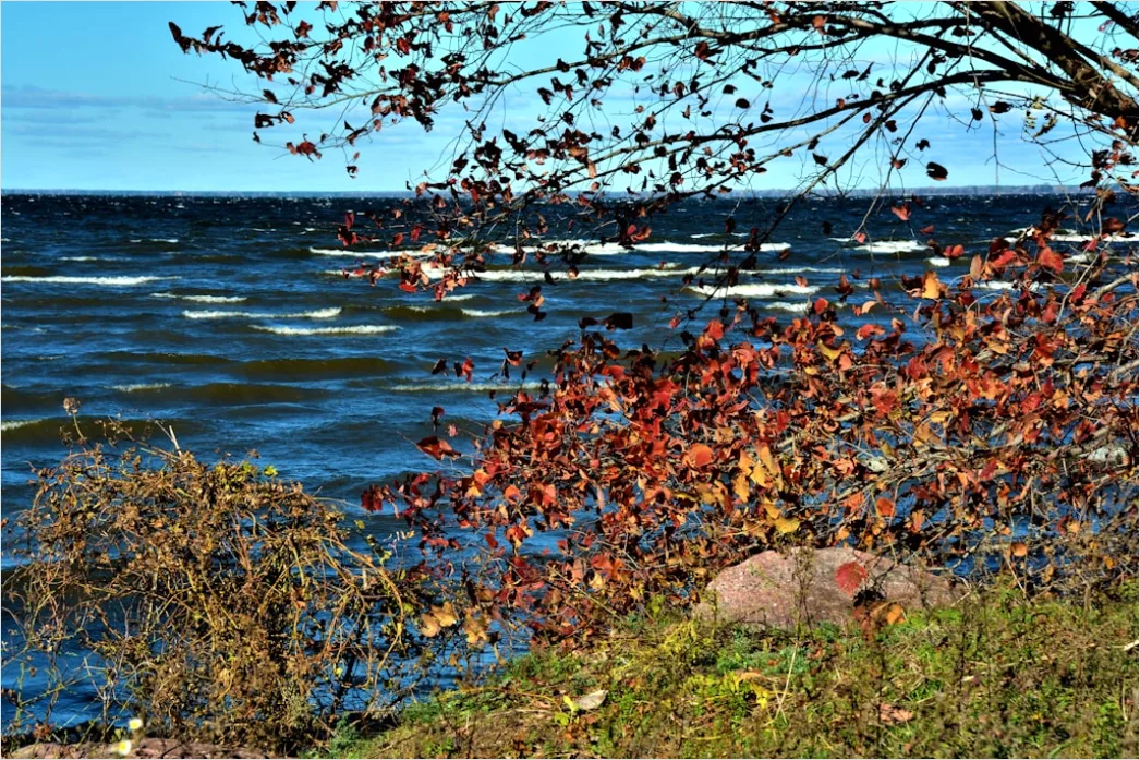 Detail Strand Herbst Leer Stimmungsvoll Number 10