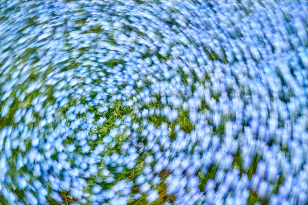 Detail Tinte Im Wasser Makro Nahaufnahme Abstrakt Number 17