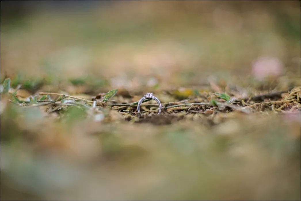 Verlobungsring Makro Nahaufnahme Bokeh 78ea