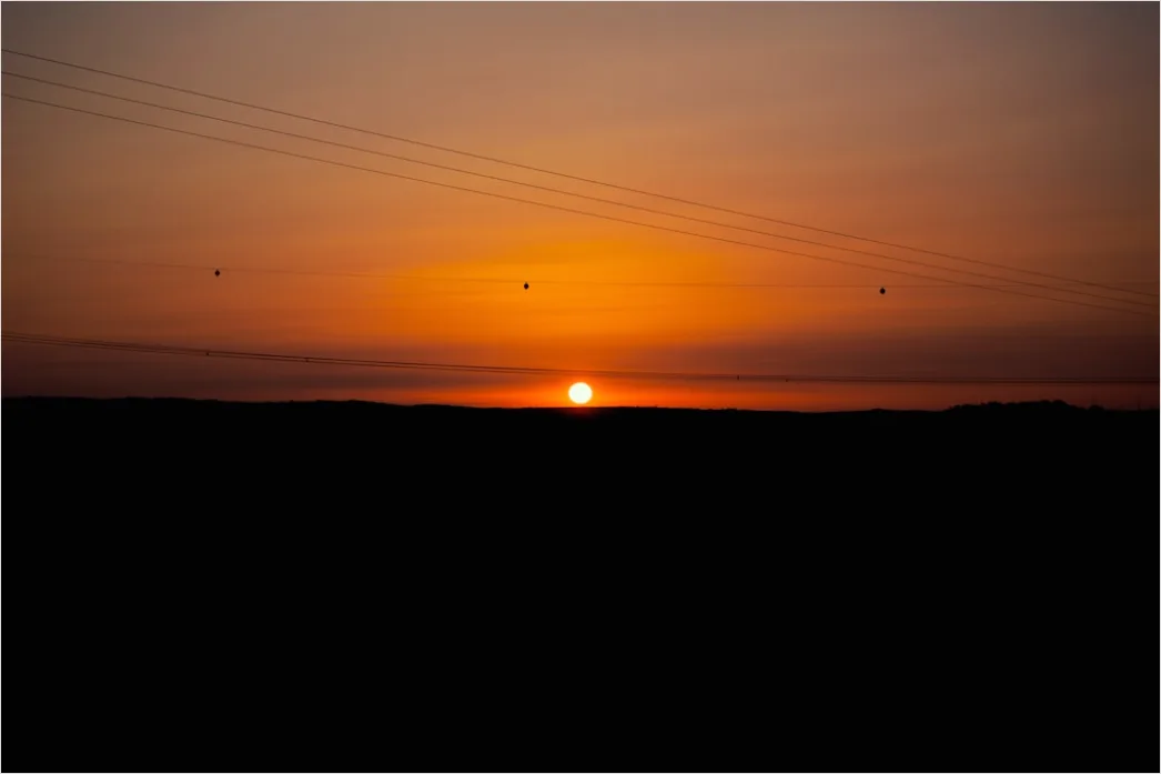 Detail Vogel Silhouette Sonnenuntergang Number 5