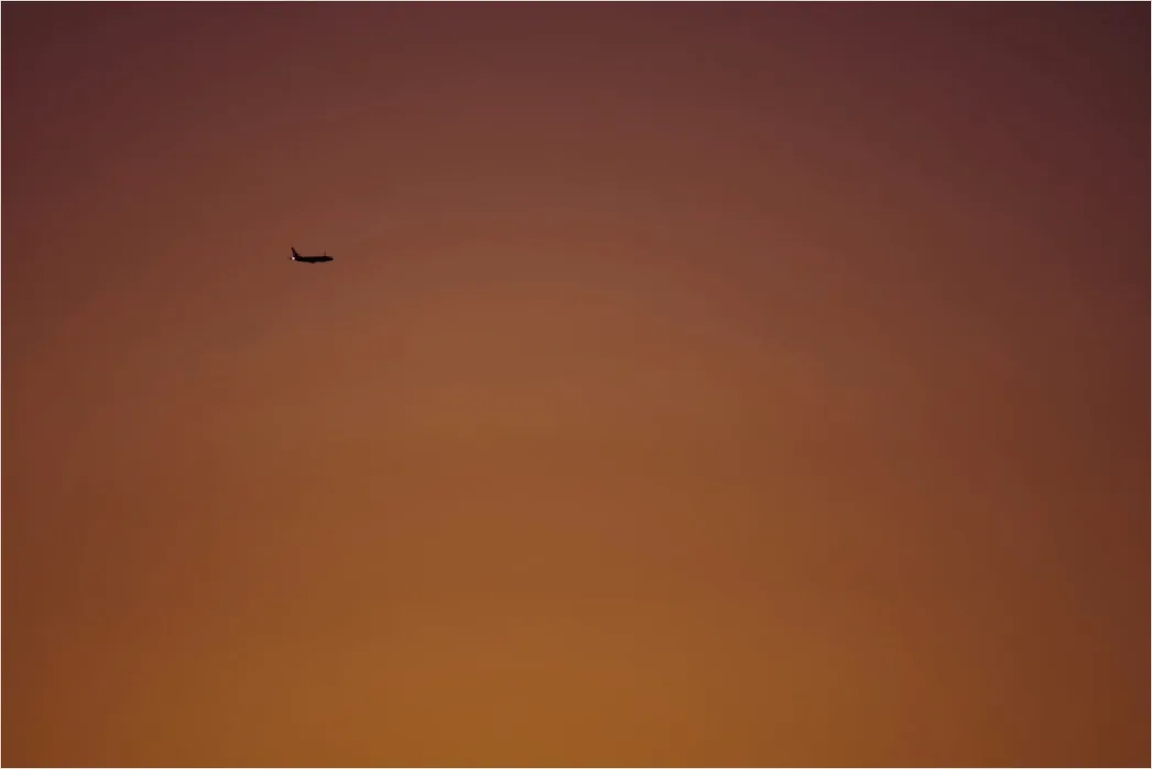 Detail Vogel Silhouette Sonnenuntergang Number 8