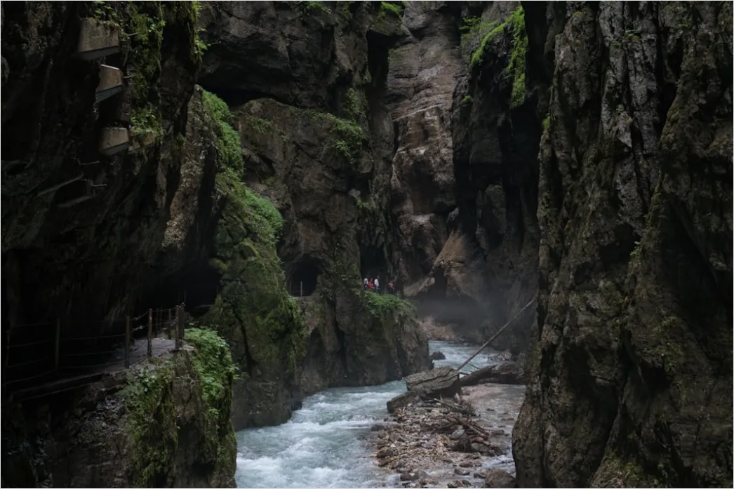 Waldbach Steine Moos Nahaufnahme 730e