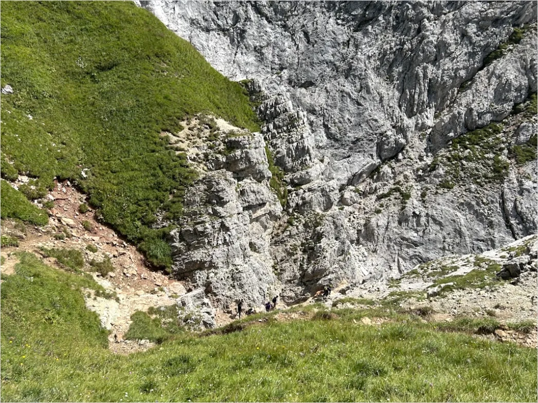 Detail Waldbach Steine Moos Nahaufnahme Number 13