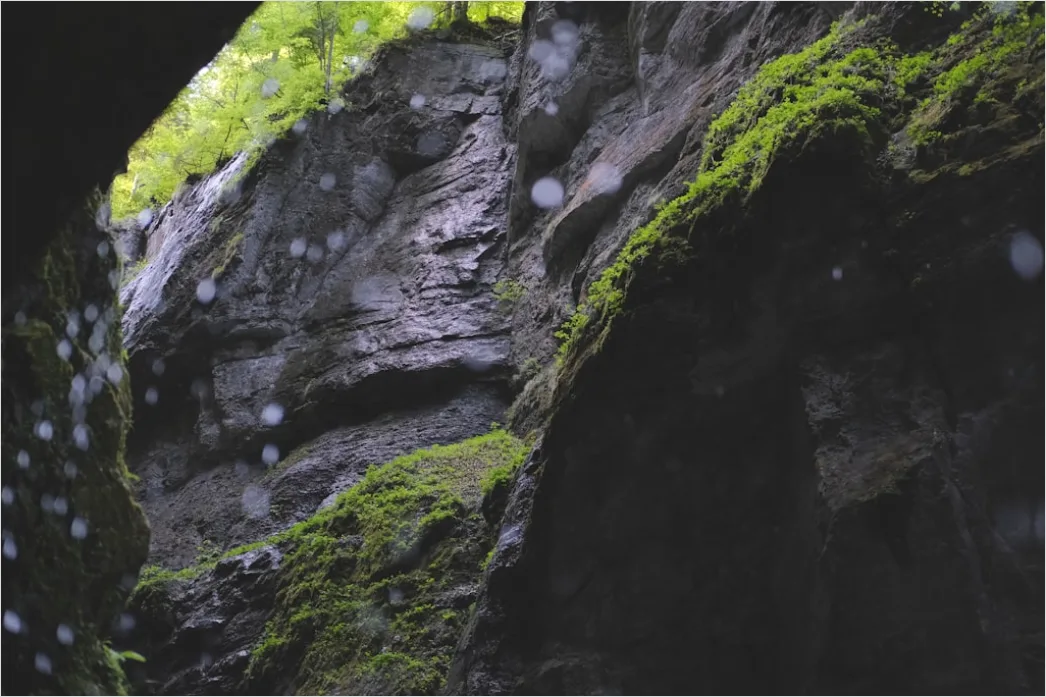 Detail Waldbach Steine Moos Nahaufnahme Number 5