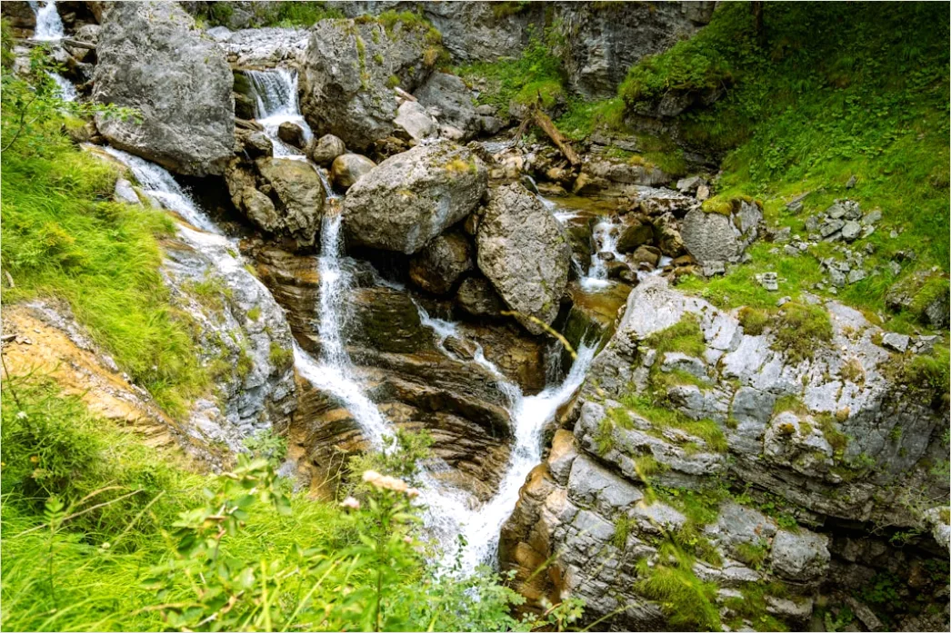 Detail Waldbach Steine Moos Nahaufnahme Number 9