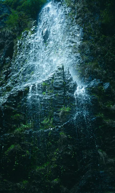 Detail Wasserfall Tropisch üppig Grün Nahaufnahme Number 2