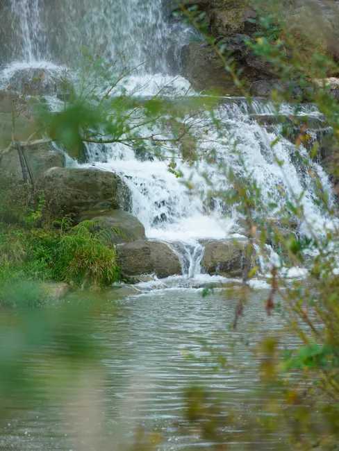Detail Wasserfall Tropisch üppig Grün Nahaufnahme Number 20