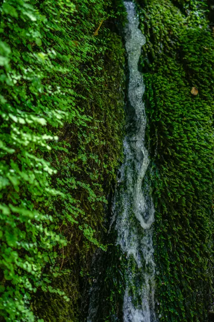 Detail Wasserfall Tropisch üppig Grün Nahaufnahme Number 5