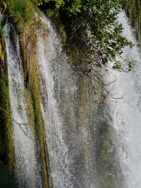Detail Wasserfall Tropisch üppig Grün Nahaufnahme Number 7