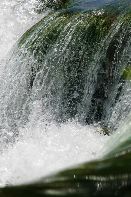 Detail Wasserfall Tropisch üppig Grün Nahaufnahme Number 8