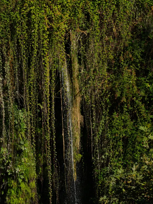 Detail Wasserfall Tropisch üppig Grün Nahaufnahme Number 9
