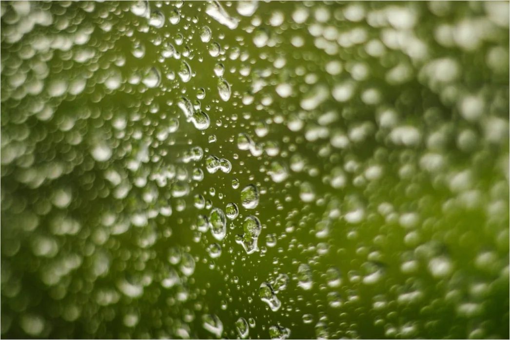 Detail Wassertropfen Auf Frucht Makro Nahaufnahme Number 11