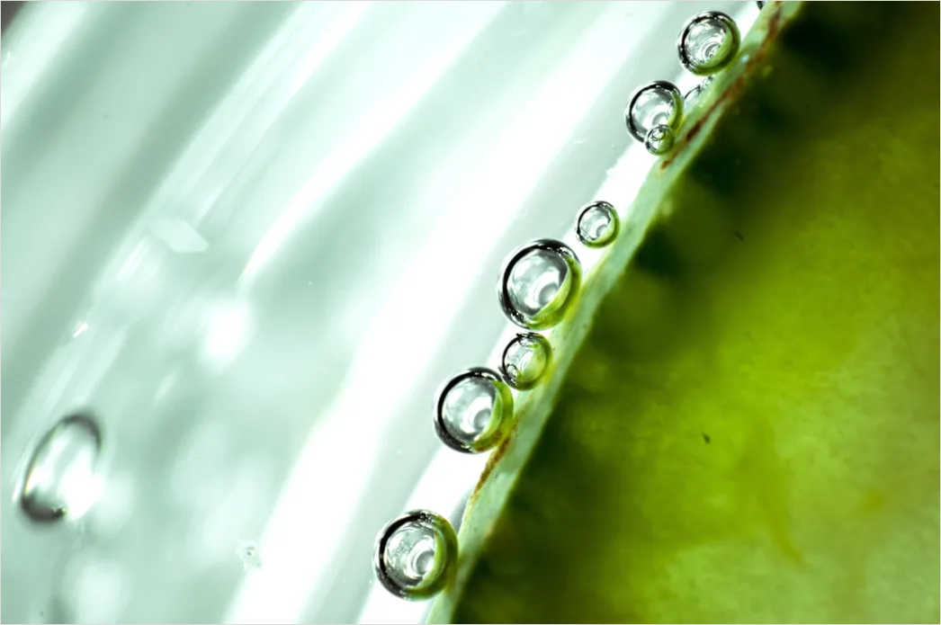 Detail Wassertropfen Auf Frucht Makro Nahaufnahme Number 14
