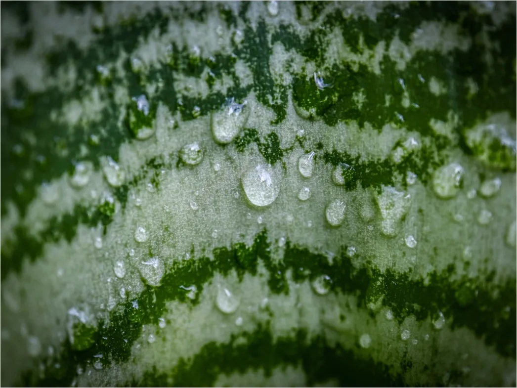 Detail Wassertropfen Auf Frucht Makro Nahaufnahme Number 5