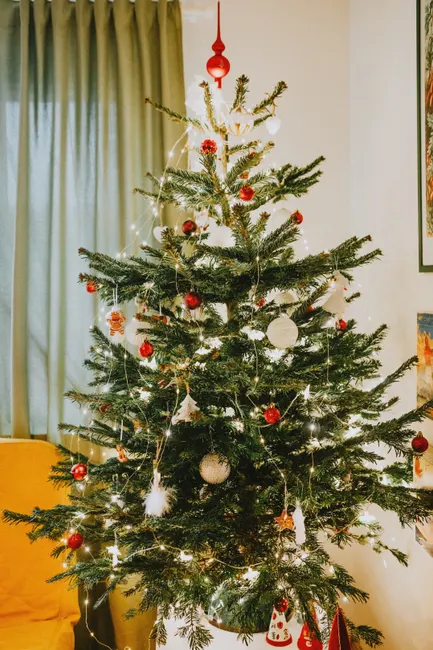 Detail Weihnachten Dekoration Wohnzimmer Baum Lichter Number 13