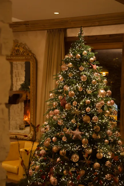 Detail Weihnachten Dekoration Wohnzimmer Baum Lichter Number 16
