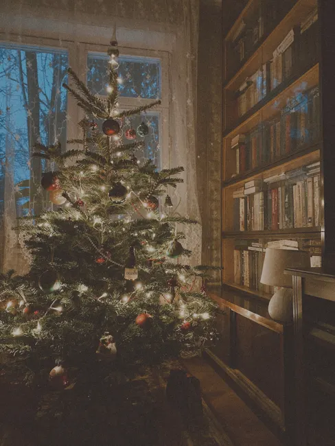 Detail Weihnachten Dekoration Wohnzimmer Baum Lichter Number 19