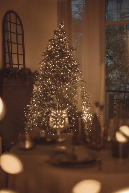 Detail Weihnachten Dekoration Wohnzimmer Baum Lichter Number 8