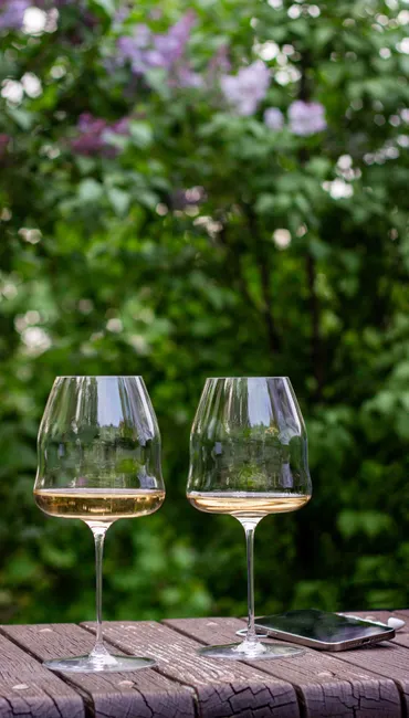 Detail Weißwein Glas Nahaufnahme Elegant Outdoor Number 17