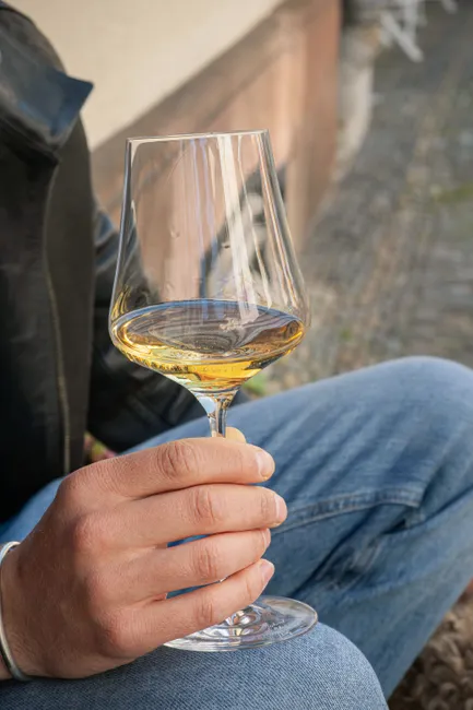 Detail Weißwein Glas Nahaufnahme Elegant Outdoor Number 7