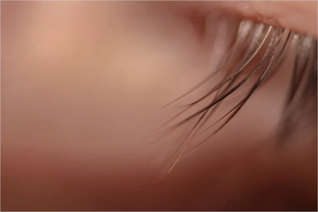 Detail Wimpern Makro Nahaufnahme Mascara Detail Number 16