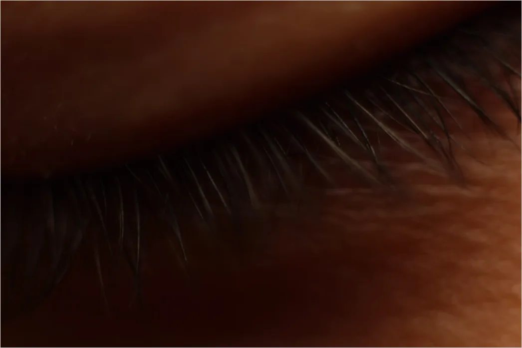 Detail Wimpern Makro Nahaufnahme Mascara Detail Number 18