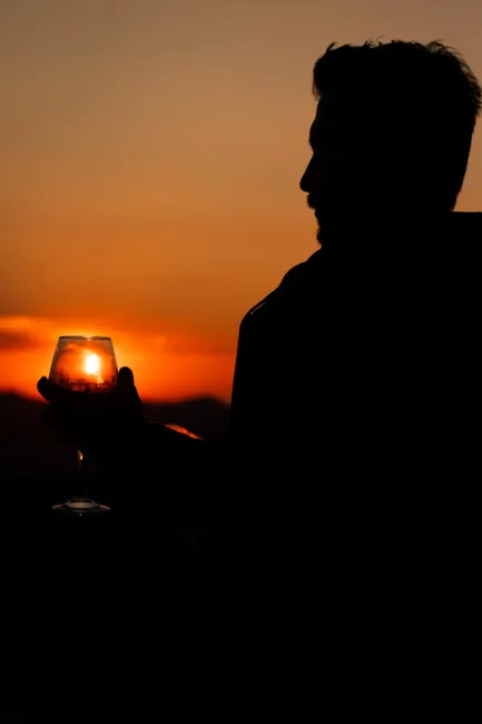 Wine Glas Rotwein Nahaufnahme Bokeh 41cd