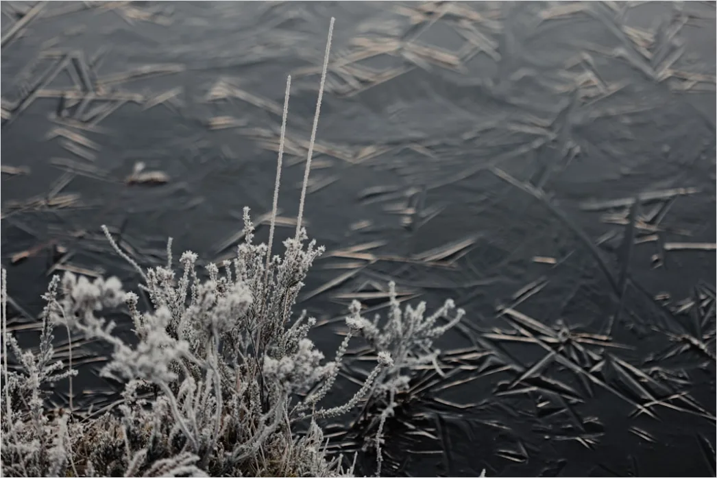Winter Eis See Frost Kristalle Nahaufnahme Aaef