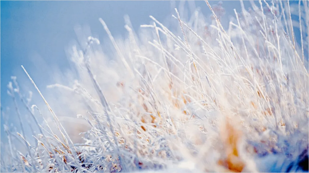 Detail Winter Eis See Frost Kristalle Nahaufnahme Number 16