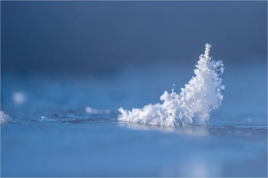 Detail Winter Eis See Frost Kristalle Nahaufnahme Number 19