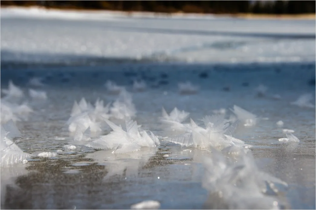 Detail Winter Eis See Frost Kristalle Nahaufnahme Number 8