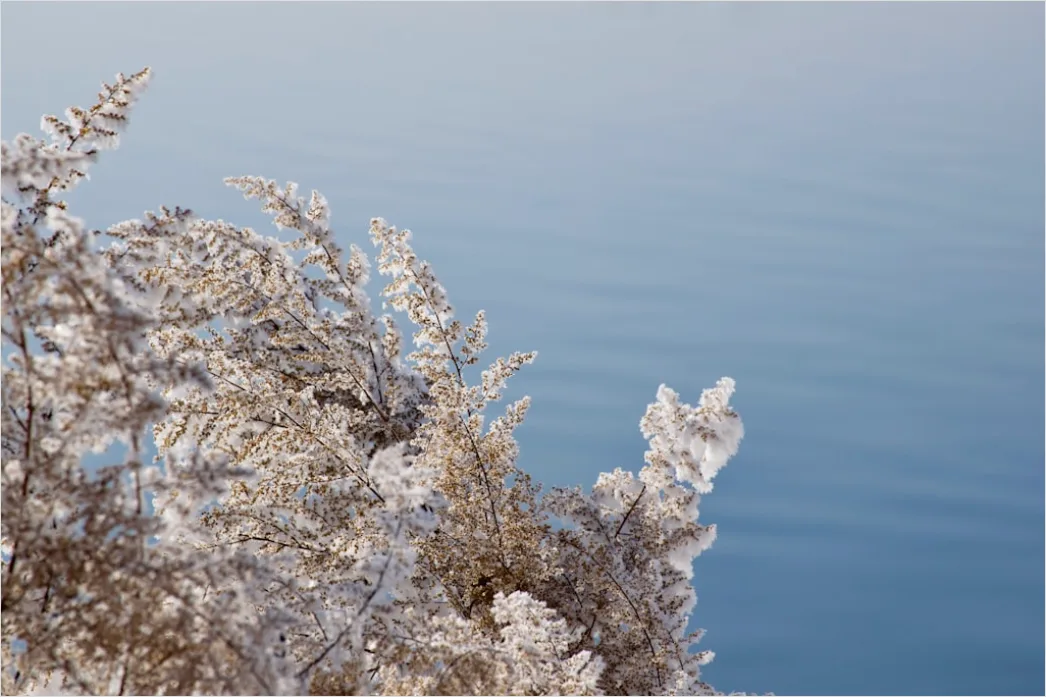 Detail Winter Eis See Frost Kristalle Nahaufnahme Number 9