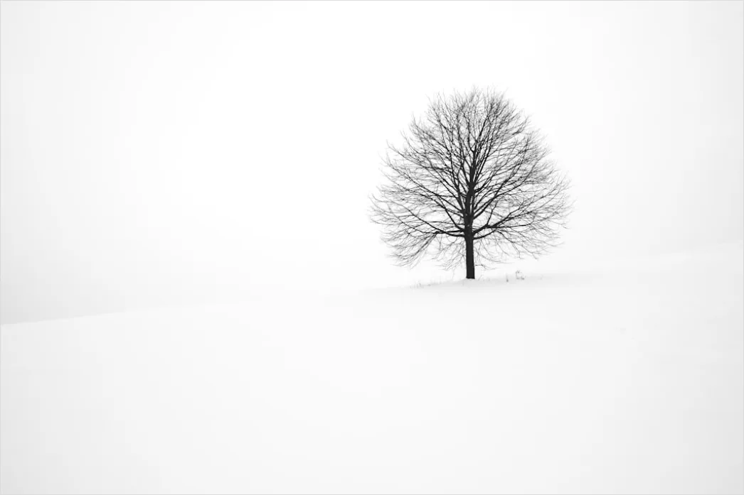 Detail Winter Schnee Stille Landschaft Minimalistisch Number 12