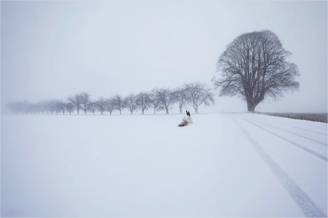 Detail Winter Schnee Stille Landschaft Minimalistisch Number 13