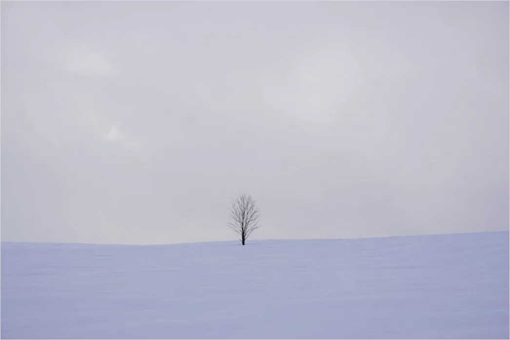 Detail Winter Schnee Stille Landschaft Minimalistisch Number 14