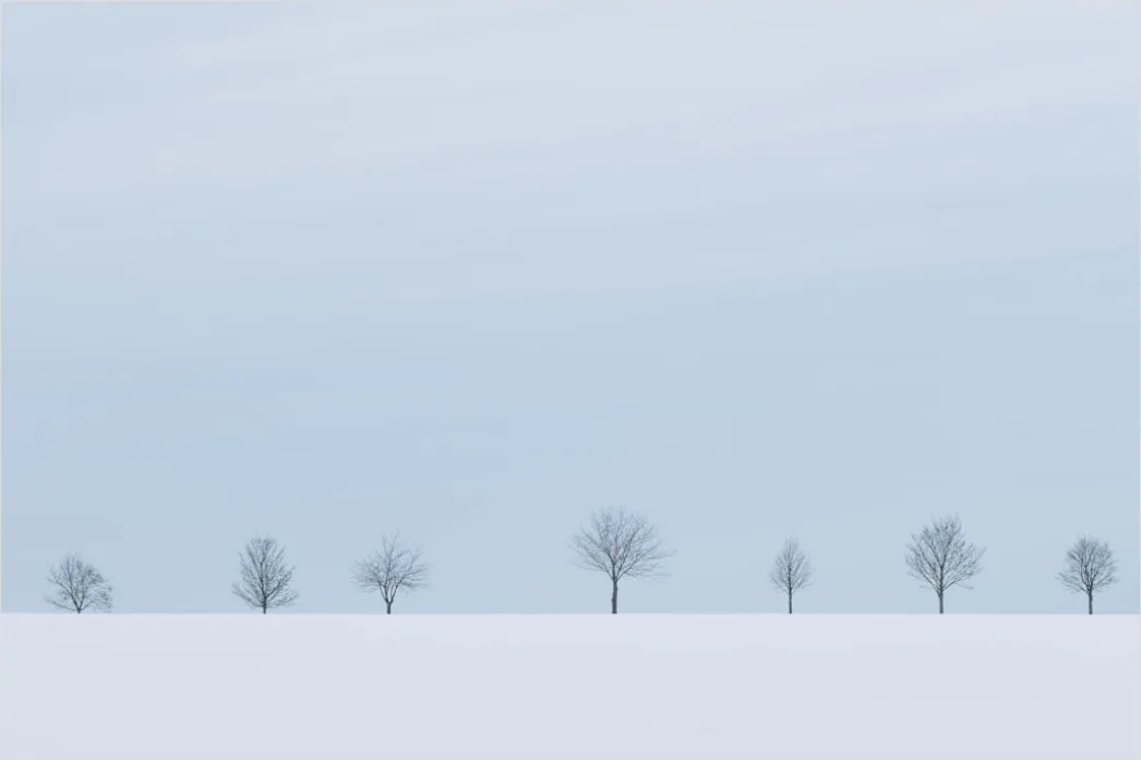 Detail Winter Schnee Stille Landschaft Minimalistisch Number 15